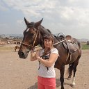 ���� ����, ���������, 47 ��� - ��������� 7 ������� 2016 � ������ ���� ����������