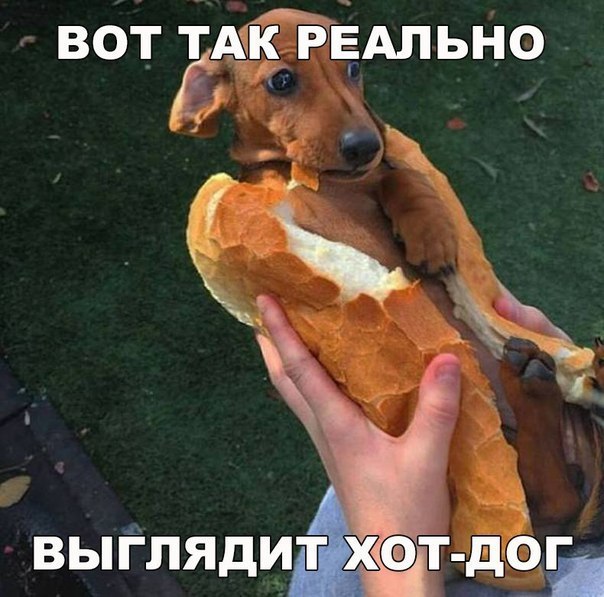    :D - 20  2016  18:35