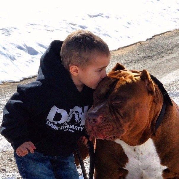      ...  .      . 80   ... - 2