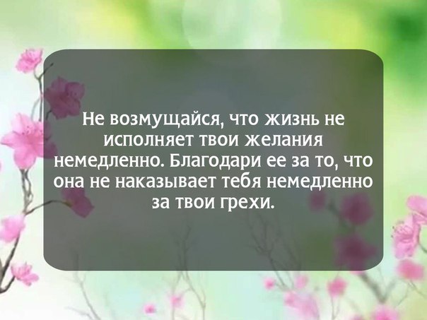  - 15  2016  03:21