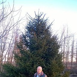 ������, �����������, 76 ���