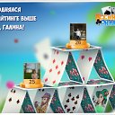 ���� ������, �����-���������, 58 ��� - ��������� 12 ���� 2016 � ������ �������� �������-�������
