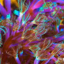 ���� Eric, ����, 61 ��� - ��������� 29 ������ 2016 � ������ �The beauty of the sea�