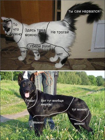     !
