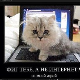 ���� Valeri, ��������������, 71 ��� - ��������� 8 ���� 2016