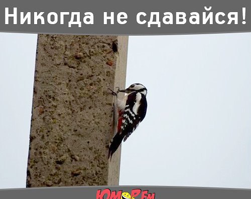   - 23  2016  18:15