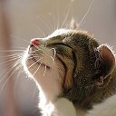 ��������� �� ������� ���� ����������