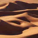  Sofiane,  -  21  2016   sahara