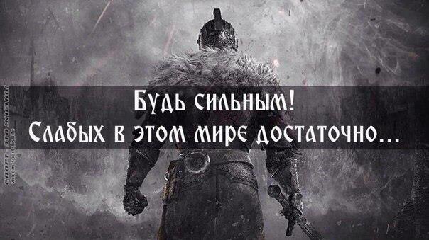  -   - 7  2016  15:08