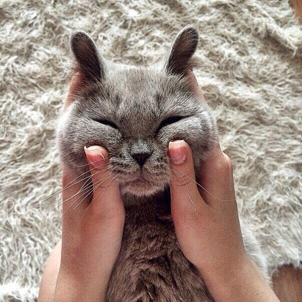 �������� :3