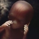 ���� ������, �����������, 50 ��� - ��������� 23 ����� 2016 � ������ ���� ����������