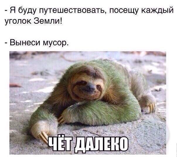     - 21  2016  17:43