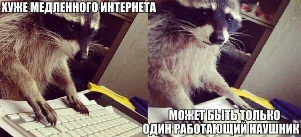 ? ,  ! - 19  2016  03:52