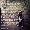 ���� ����, ������, 47 ��� - ��������� 17 ����� 2016 � ������ ������ ��������