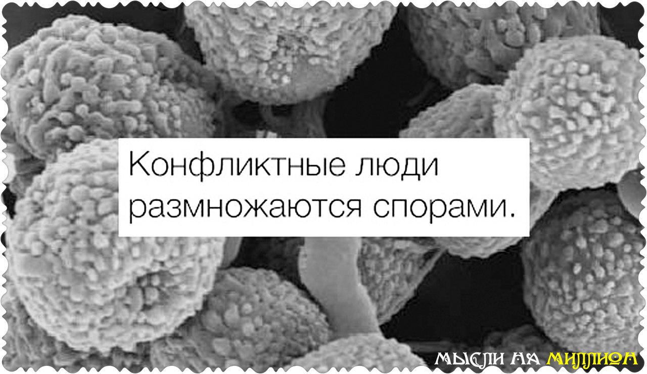    - 8  2016  18:22