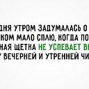 ���� �����, ������, 38 ��� - ��������� 8 ��� 2016 � ������ ������ ��������