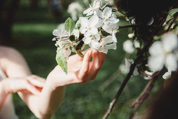   , -.    ,      ,     ...