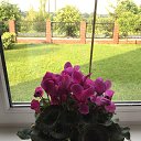 �������� ��� ������� �� ������� ���� ����������