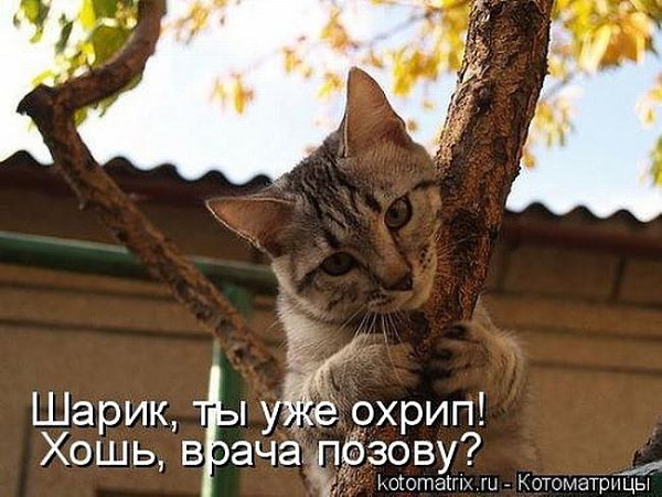 ***Victoria Viktorovna*** - 28  2016  18:09