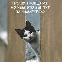 ���� ����, ����������, 52 ���� - ��������� 4 ��� 2016 � ������ ������ ��������
