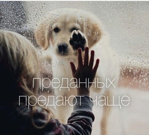 .Life.Is.Life. - 26  2016  11:28
