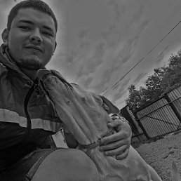 ������, 29 ���, ���������