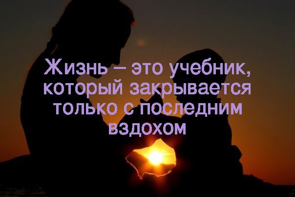, , , ,  - 1  2016  02:31