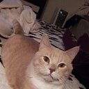 ���� ��������, �����-��������� - ��������� 14 ��� 2016 � ������ ���� ����������