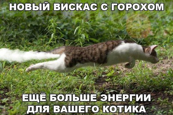 Три в одном.Все, что ты любишь здесь! Авто | Юмор | Девушки https://fotostrana.ru/public/342829/