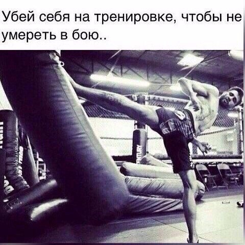 SportFeed - 29  2016  13:22