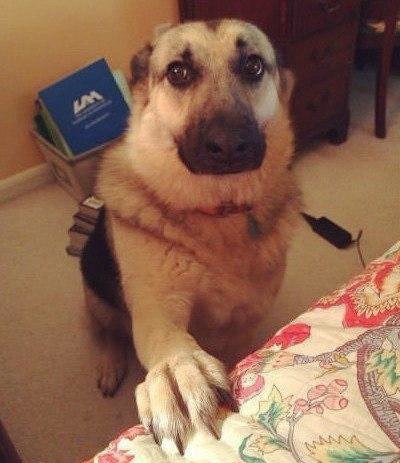 ����� ����������� ������� ������