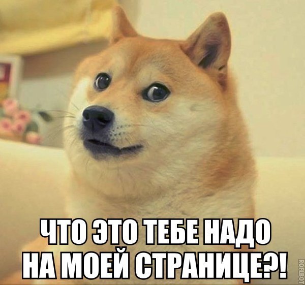    :D - 3  2016  04:03