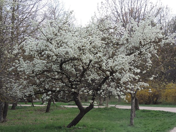 Aleksandr Voznii - 8 ������ 2016 � 23:12 - 3