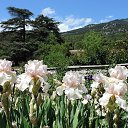  , , 60  -  16  2016    ,,18.05.16.