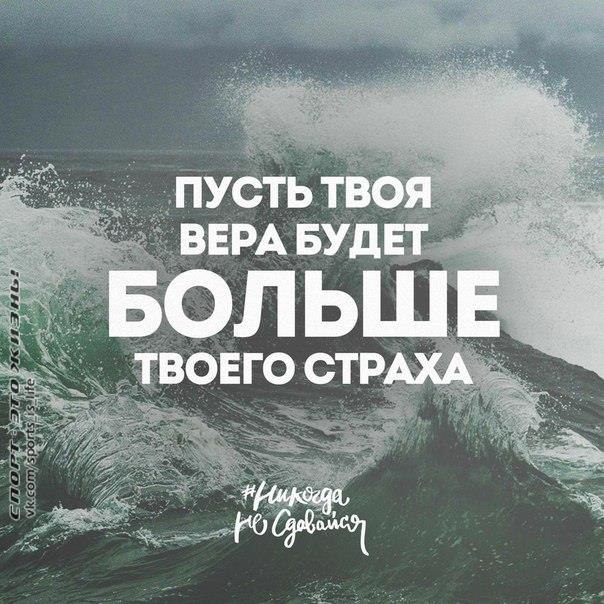 -   - 22  2016  08:28