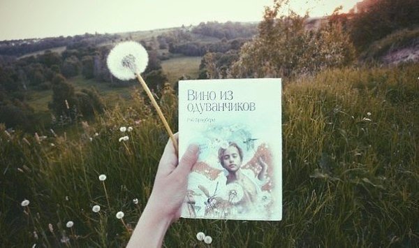 Вы можете получить все, что вам нужно, Если только это вам и вправду нужно. Рэй Брэдбери «Вино из ...