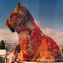 ���� ������, ������, 69 ��� - ��������� 27 ������� 2016 � ������ �Ȼ