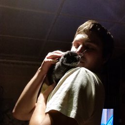 Albert, �����, 36 ���