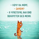 ���� �����, �����, 54 ���� - ��������� 12 ���� 2016 � ������ ������ ��������