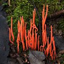 ���� Eric, ����, 61 ��� - ��������� 18 ������ 2016 � ������ ������ ��������