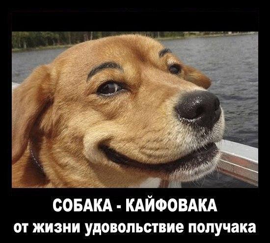  - 9  2016  23:42