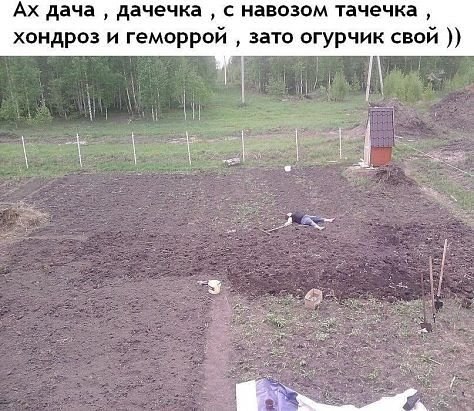 ***Victoria Viktorovna*** - 17  2016  05:07