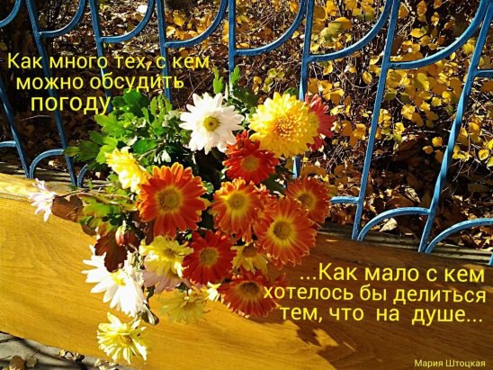������ - 3 ������ 2016 � 13:50