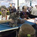  , , 35  -  12  2016   Moscow December 2013