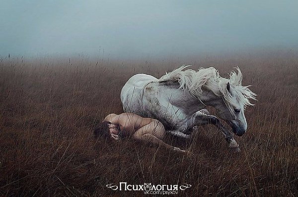 ТЕХНОЛОГИЯ УНИЧТОЖЕНИЯ.Как легализовать что угодно— от эвтаназии до инцеста.Американский социолог ...