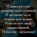 ���� ���, �����������, 55 ��� - ��������� 29 ��� 2016 � ������ ���� ����������
