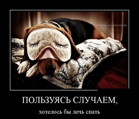 ***Victoria Viktorovna*** - 19  2016  17:41