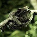  , --, 62  -  6  2016    