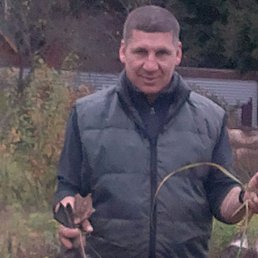 ���� ������, ����������, 52 ����