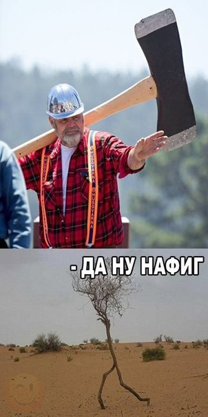    :D - 5  2016  00:30